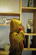 Load image into Gallery viewer, Acid Olive 777 NYC Cropped Rhinestone Hoodie
